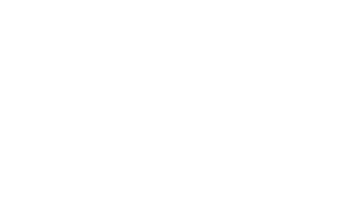 BVS — gjør hver bygning tryggere